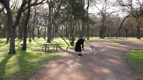Hundewurfball für Golden Retriever im Park mit wunderschöner Morgensonne