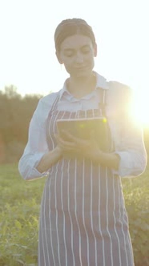 A Young Farmer Actively Using a Tablet in Vast Fields During a Beautiful Sunset Hour