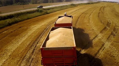 Tractor Hauling Grain Across Golden Farm Field