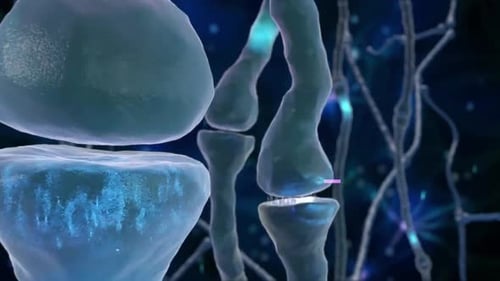 Neurons communicating through synapses in neural network