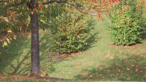 A rustic swing hangs from the sturdy branch of a tree, surrounded by the vibrant colors of an autumn
