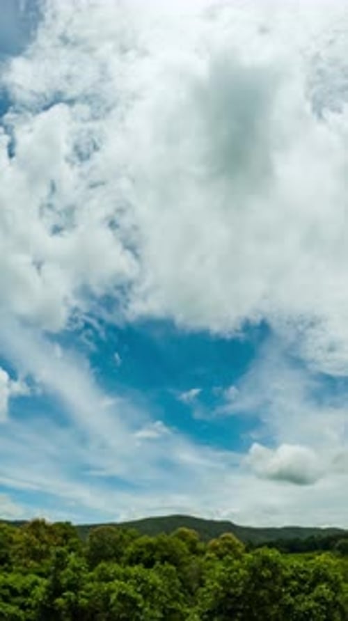 Time-Lapse of Clouds and Sky Above Trees