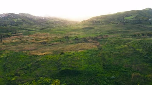 Green Hills Landscape at Sunrise Aerial View