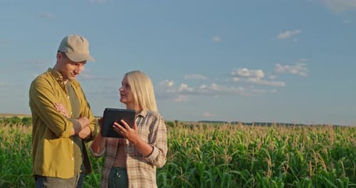Farmers Using Tablet in Cornfield on Sunny Day
