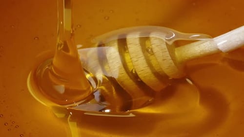 Liquid Gold Dripping Honey From a Honey Dipper on White Background Infused with a Yellow Hue