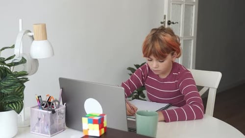 Primary Middle School Redhead Caucasian Student Child Girl Study Use Laptop Distance Learning Online