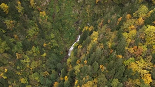 Waterfall in the forest in autumn