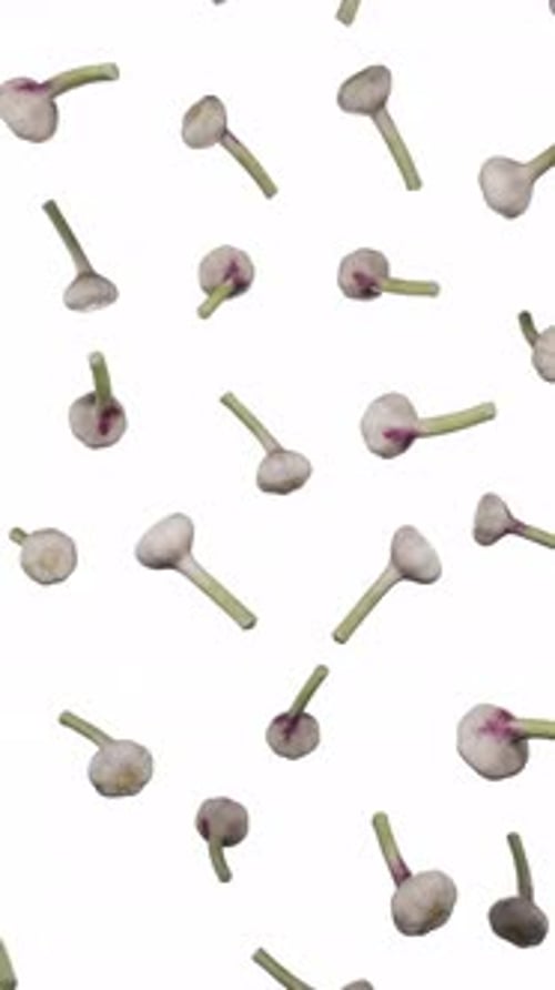 Falling Garlic Bulbs Vertical Looping Animation