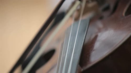 Playing the Violin Closeup