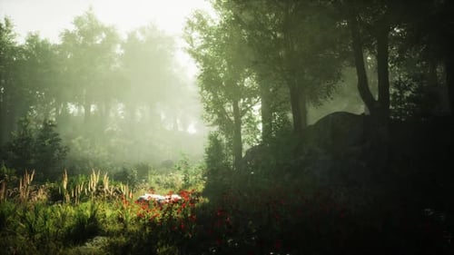 Misty Forest Landscape with Vibrant Flowers Under Soft Morning Light