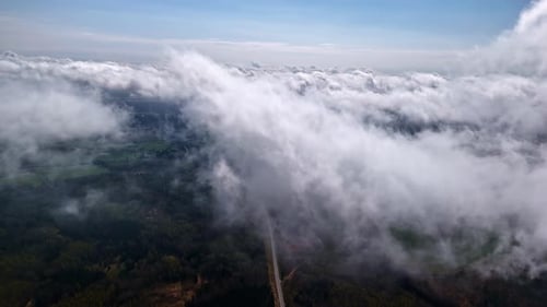 Aerial Drone View of Clouds Floating Over Lush Forest Landscape