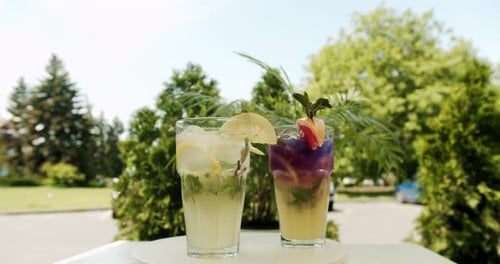 Two Glasses of Lemonade on a Table in a Grassy Area Under a Tree