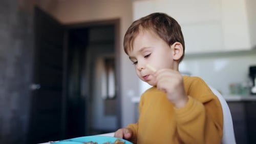 Young Boy Eating Lunch in Highchair