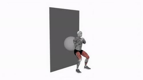 3D Animated Wall Squat Exercise Showing Muscle Anatomy