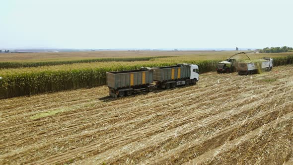 Harvester Loading Crops Into Truck in Agricultural Field, Technology ...
