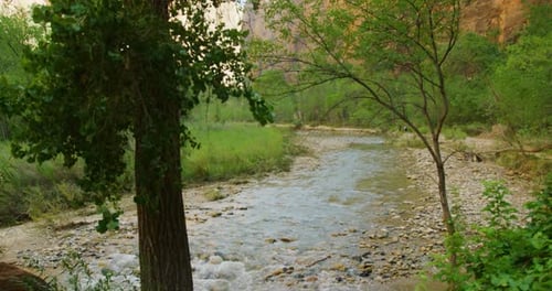 Beautiful river flowing between the mountings surrounded by trees towards the camera. static wide sh