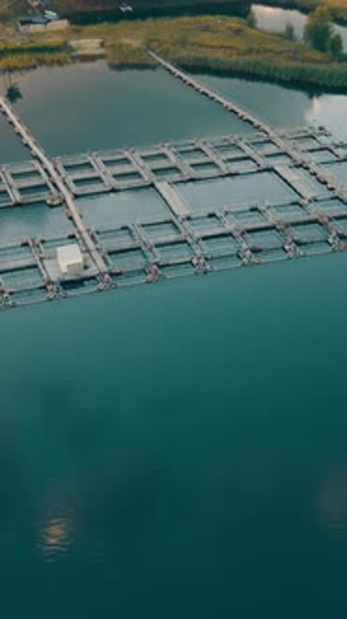 Bird Seye View of a Fish Farm on a Lake at Sunset Farming Enclosures with Trout or Carp Glow in Soft