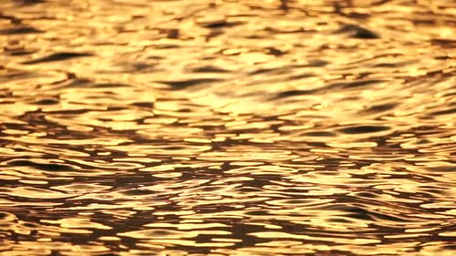 Blurred Golden Sea at Sunset The Sun Reflects and Sparkles on the Waves with Bokeh Illuminating the
