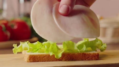 Making a sandwich with lettuce and meat