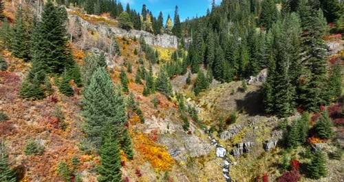 Waterfall in autumn forest