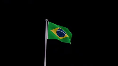 Brazilian flag
