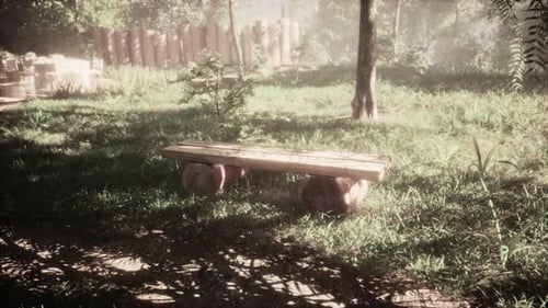 Wooden Park Bench in Nature