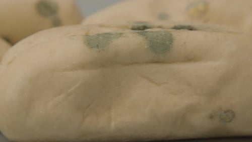 Fermer la poêle avec du pain infesté de moisissures sur fond blanc