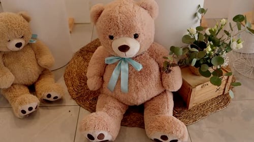 Charming Teddy Bears in a Home Setting