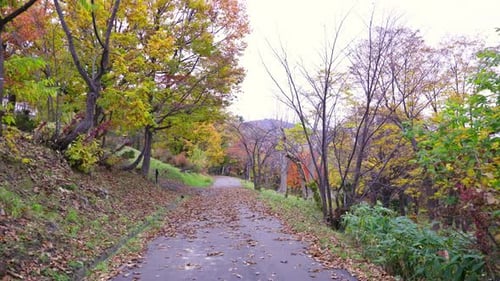 The best view in Otaru