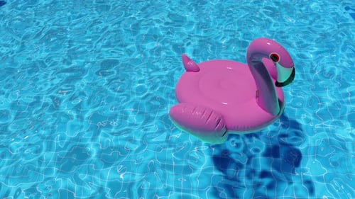 Inflatable Pink Flamingo Swim Loop Floats in the Pool in Summer Top View