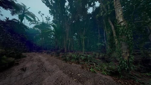 Lush Tropical Forest Path Surrounded By Dense Greenery During Twilight