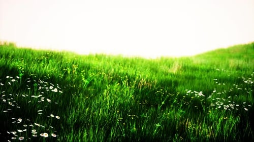 Green Grass Landscape with Hills and Blue Sky