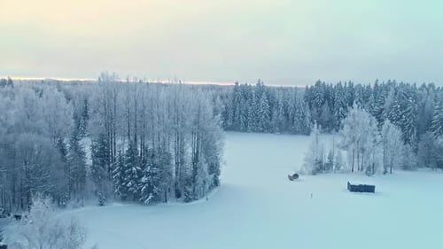Breathtaking Aerial View of a Frosty Winter Forest at Dawn