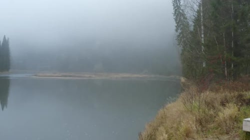 Top View of Misty Lake with Green Forest Clip Beautiful and Mysterious Lake with Fog on Cloudy Day