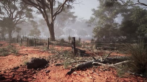 Rural Dirt Field With Trees and Fence