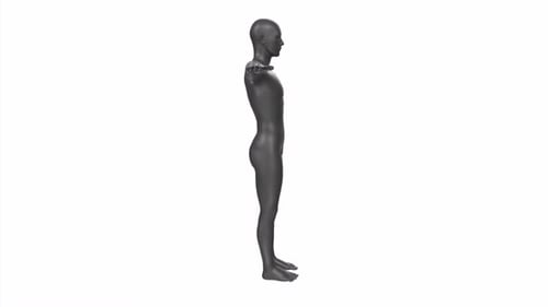 Young man body base 3d human rotating loop