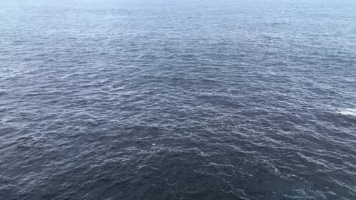 calming, wavy blue ocean