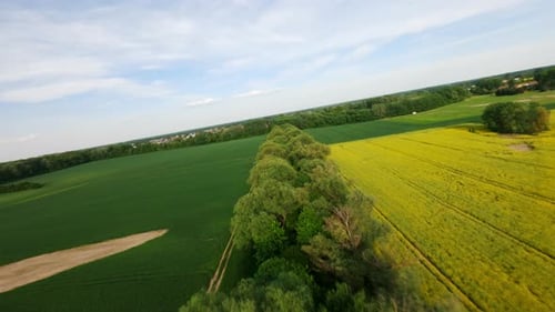Panoramic sideways aerial movement above the forest section separating the fields, Poland.