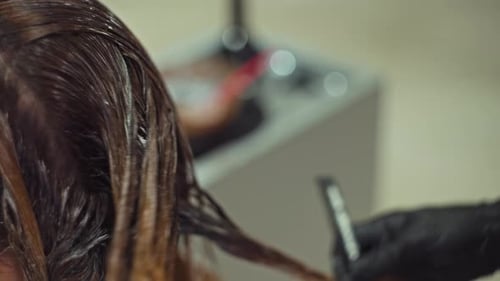 Hairdresser Applying Hair Dye with Brush and Comb