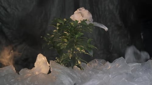 Plant surrounded by swirling plastic waste and smoke