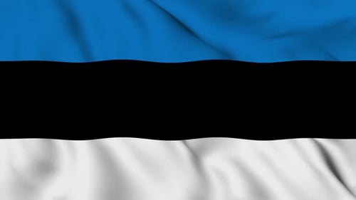 Realistic Waving Flag of Estonia Animation