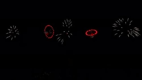 Abstract Firework on Black Night Sky Background 4Th of July Independence Day New Year Eve Christmas