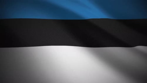 Estonian Flag Waving in Wind with Realistic Fabric Texture