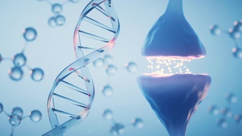 Synapse of neuron cell