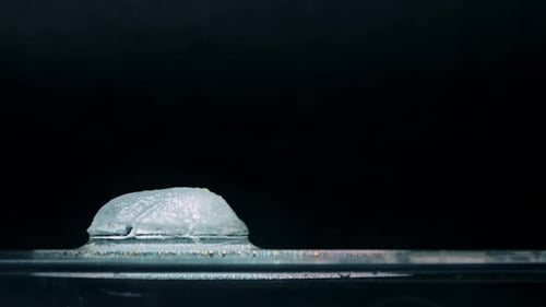 Time Lapse of Ice Melting on Wet Surface