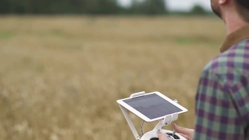 Agricultural Industry Farmer Control the Quadcopter While Standing in the Field of Rye Ecologist