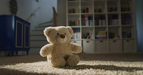 Zoom in Close Up Shot on a Teddy Bear Placed in the Middle of the Room on a Soft Carpe