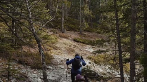 Of Couple Hing in Woods