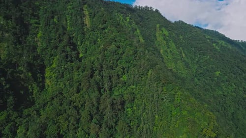 Aerial View on Forest Nature and Green Wood Trees in Landscape of Mountain Hills