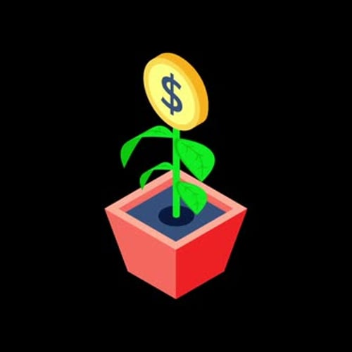 Isometric Money Plant Growth for Business and Finance